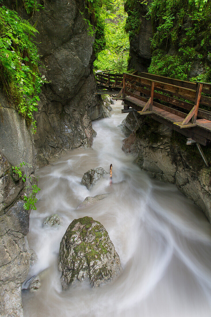  Watercourse in the Seisenbergklamm, Weissbach near Lofer, Salzburg, Austria 