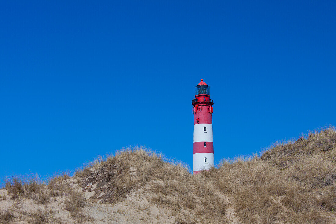 Leuchtturm, Insel Amrum, Nordfriesland, Schleswig-Holstein, Deutschland