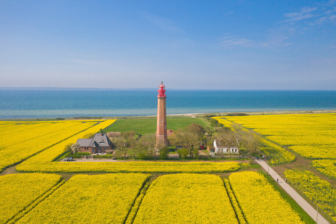  Fluegge lighthouse in the blooming rapeseed field on the island of Fehmarn, Schleswig-Holstein, Germany 