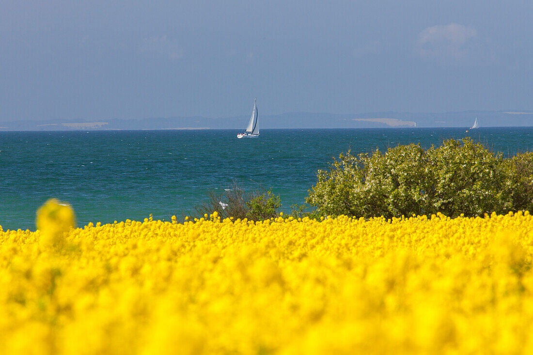  Sailing boat, Fehmarn Island, Schleswig-Holstein, Germany 