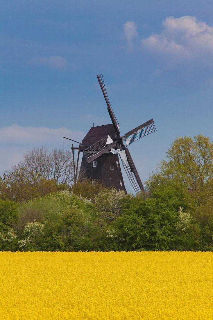  Windmill Lemkenhafen, Fehmarn Island, Schleswig-Holstein, Germany 