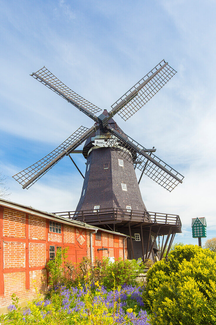  Windmill Lemkenhafen, Fehmarn Island, Schleswig-Holstein, Germany 