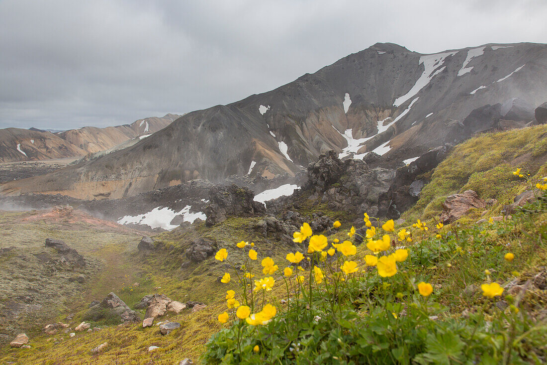  Colored rhyolite mountains at Brennisteinsalda volcano in Landmannalaugar, Fjallabak National Park, Sudurland, Iceland 