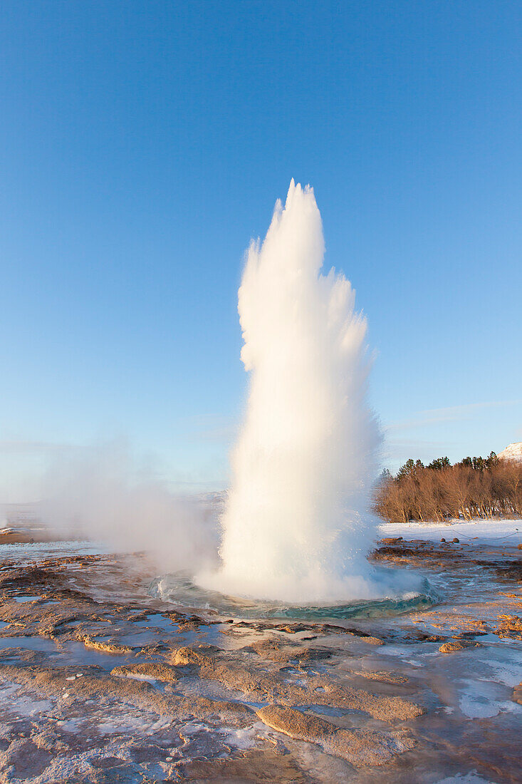 Strokkur-Geysir (Butterfass-Geysir) im Heisswassertal Haukadalur beim Ausbruch, Winter, Island