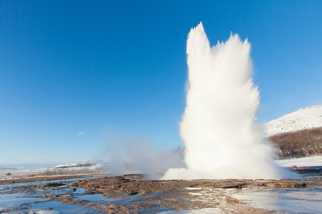  Strokkur Geysir (Butter Churn Geysir) in the Haukadalur hot spring valley erupting, winter, Iceland 