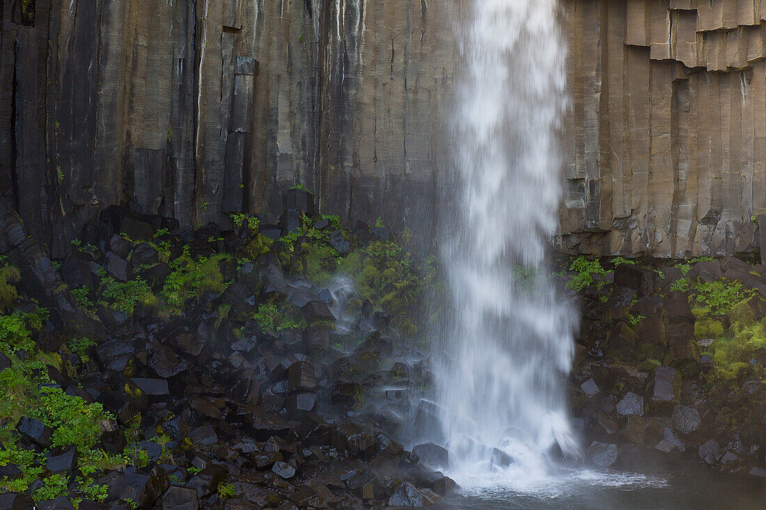  Svartifoss waterfall, Austurland, Iceland 