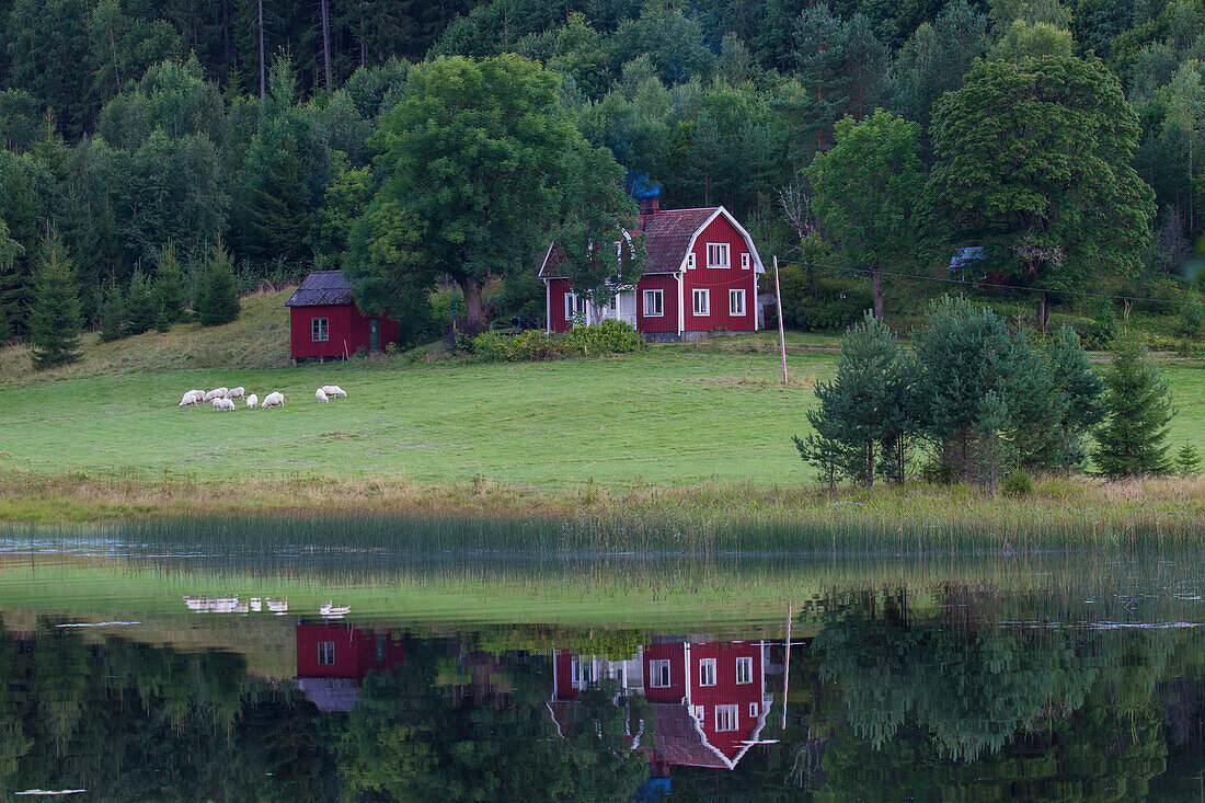  Wooden house by the lake, summer, Vaermland, Sweden 