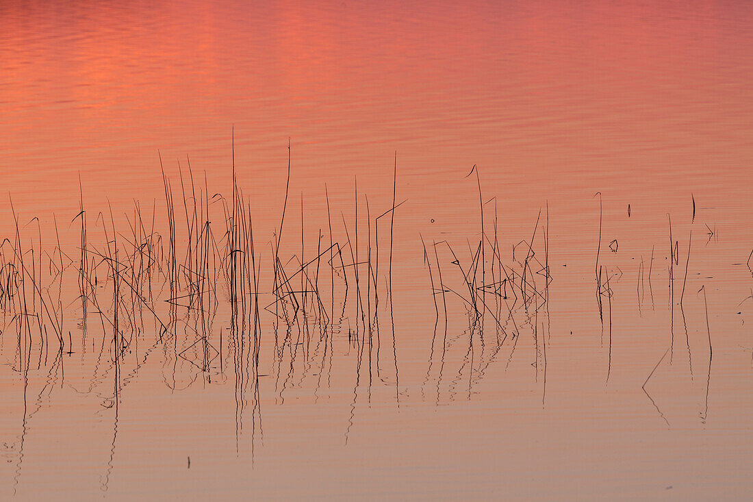  Sunset at Lake Siljan, summer, Dalarna, Sweden 