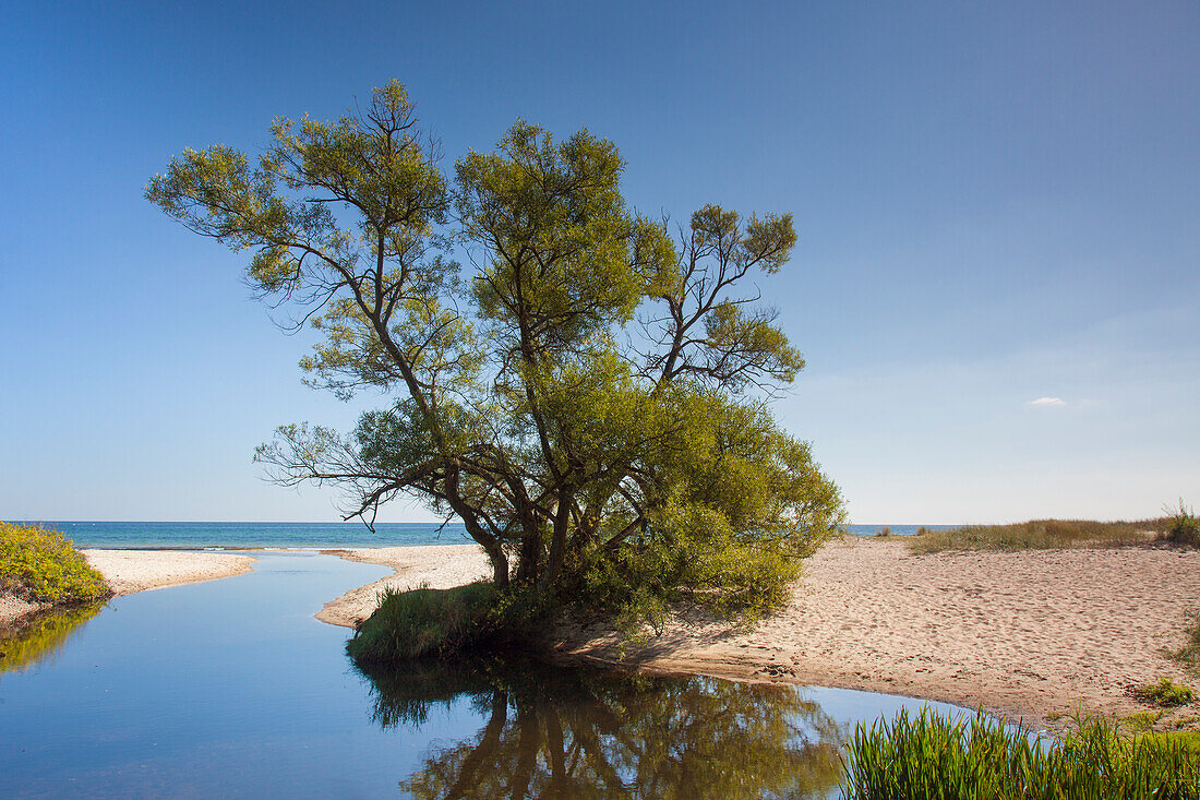 Fluss Verkean muendet in die Ostsee, Sommer, Skane, Schweden