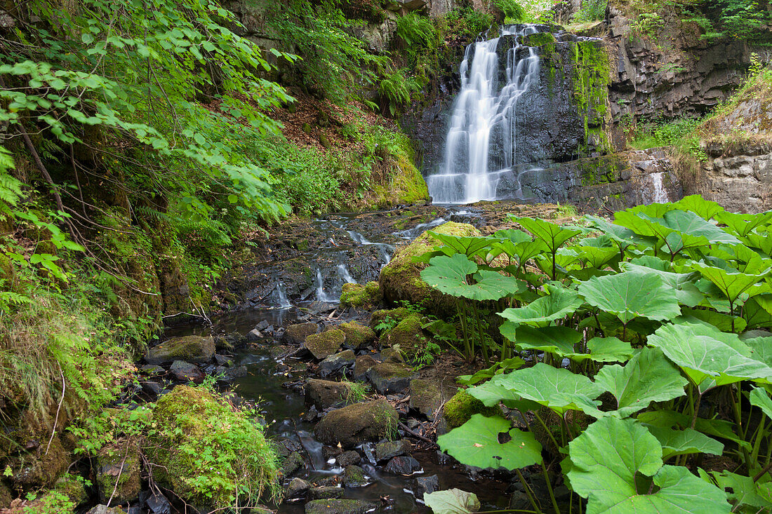  Forsemoella waterfall, Straentemoella, Skåne County, Sweden 