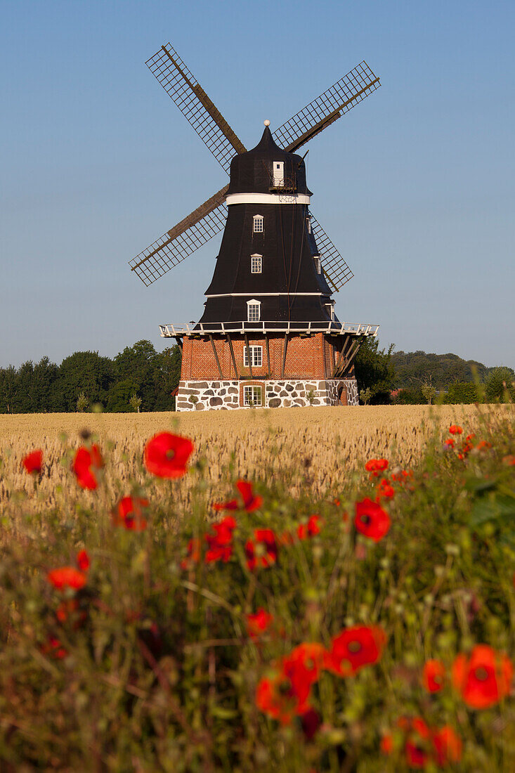  Windmill, Krageholm, Skåne, Sweden 