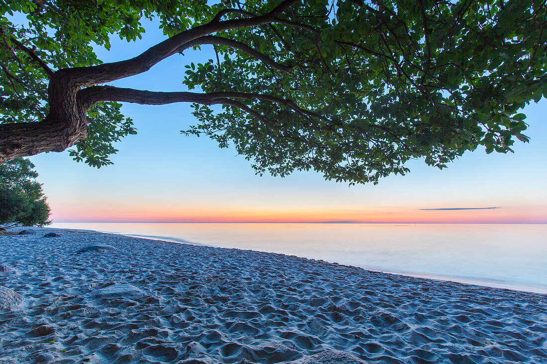  Morning mood on the beach of Knaebaeckshusen, Skåne County, Sweden 