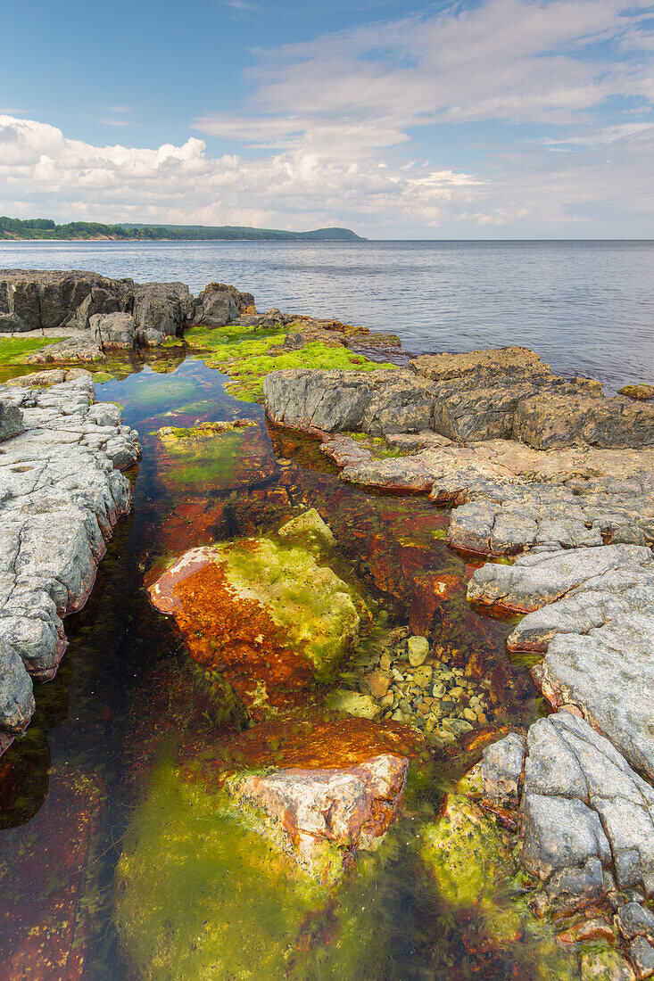  Rocky coast on the Baltic Sea near Vik, Skane, Sweden 