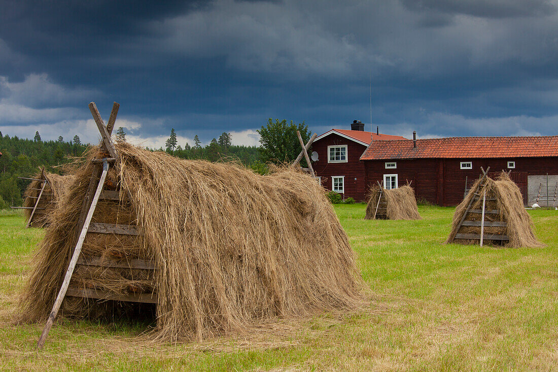 Heuschober, Heuernte, Bauernhof, Landwirtschaft, Jämtland, Schweden