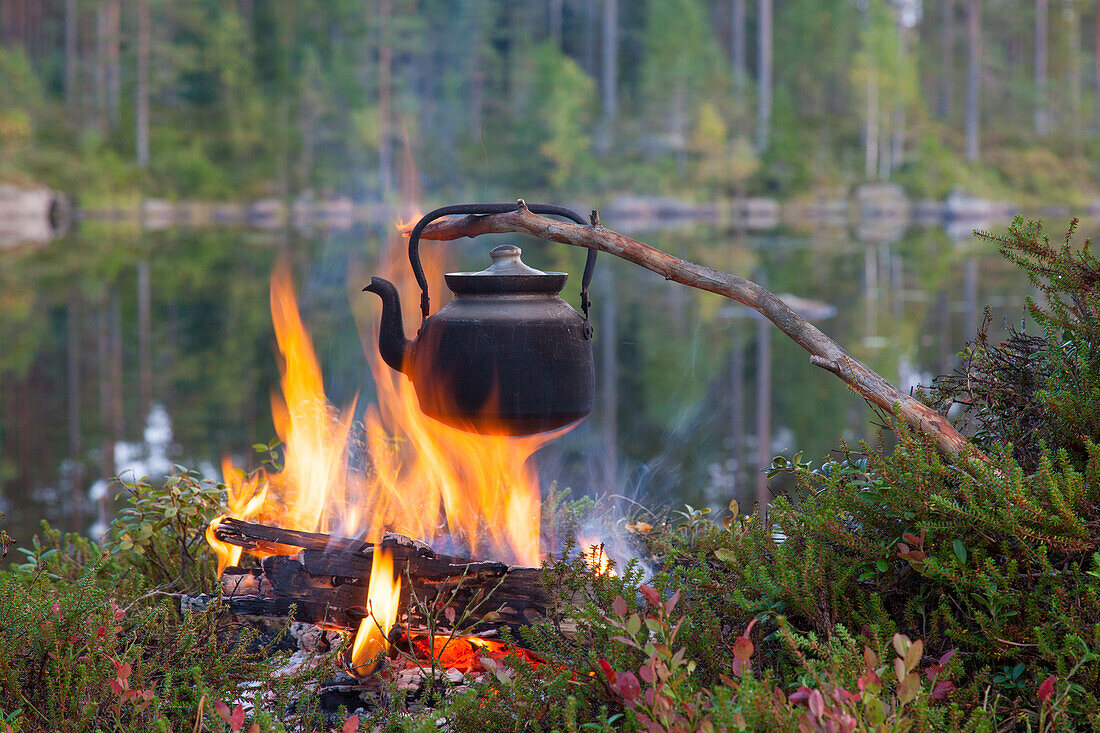 Kaffeekessel ueberm Lagerfeuer, Värmland, Schweden