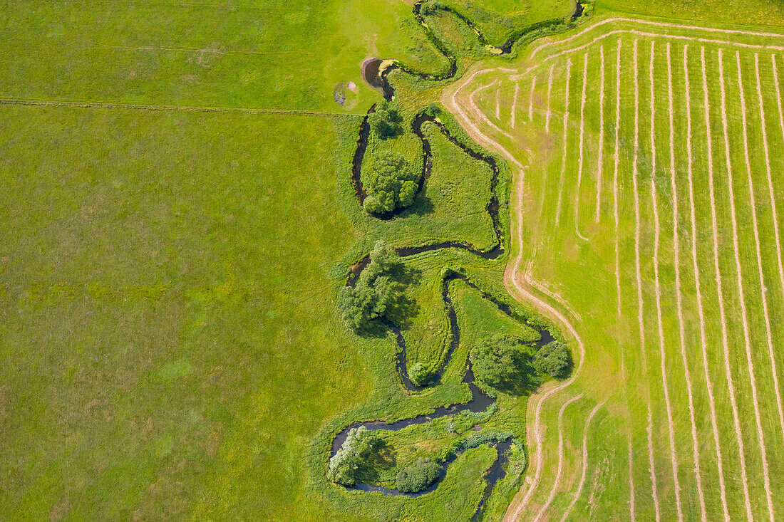 Natuerlicher Bachlauf vom Klingavälsan, Skane, Schweden