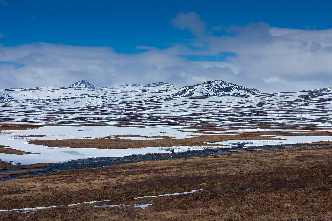 Borgafjäll, Fjäll, Hochgebirge, Juni, Jämtland, Schweden