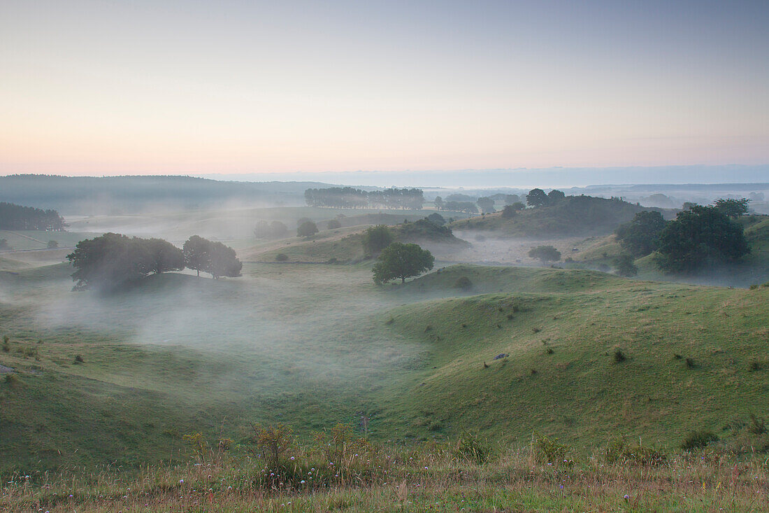  Morning mist in the hills of Broesarps backar, Skåne County, Sweden 