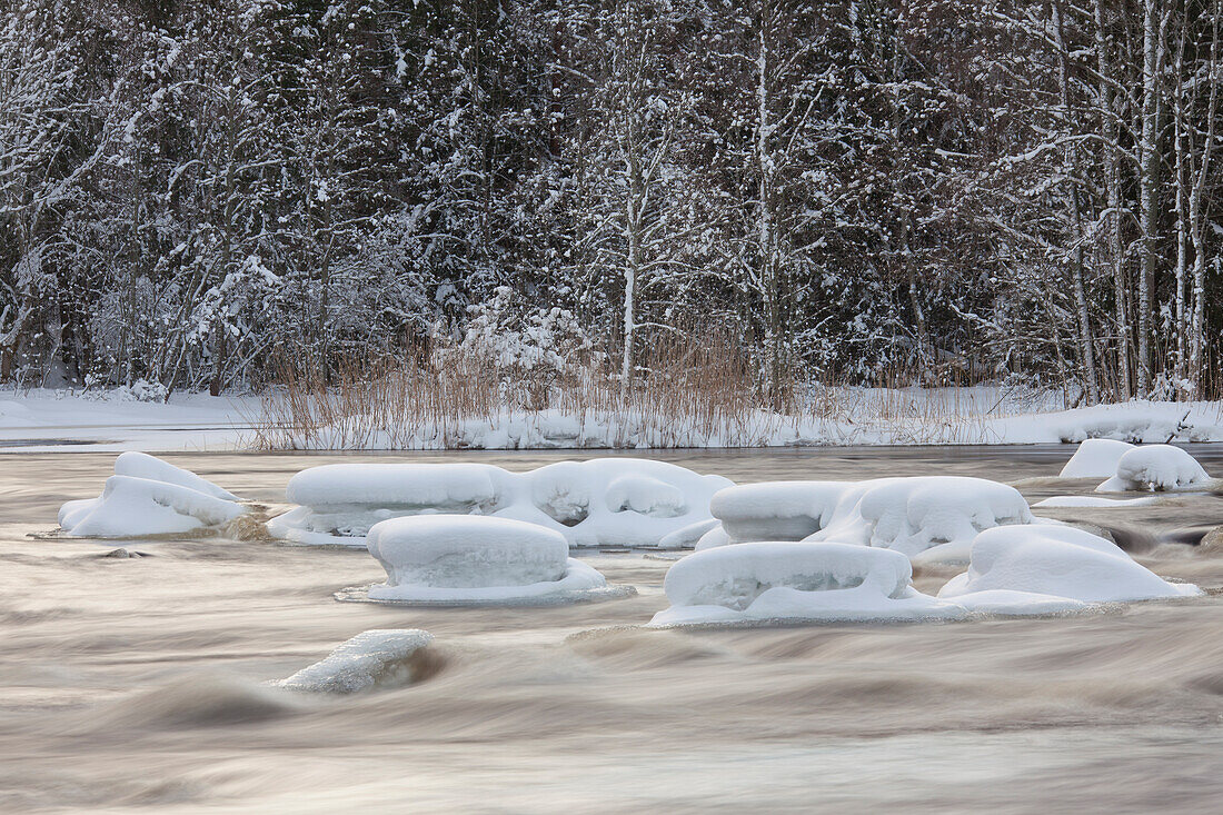  Dalaelven river in winter, Gaestrikland, Sweden 