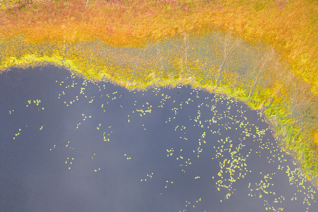  Small lake in autumn, Dalarna, Sweden 