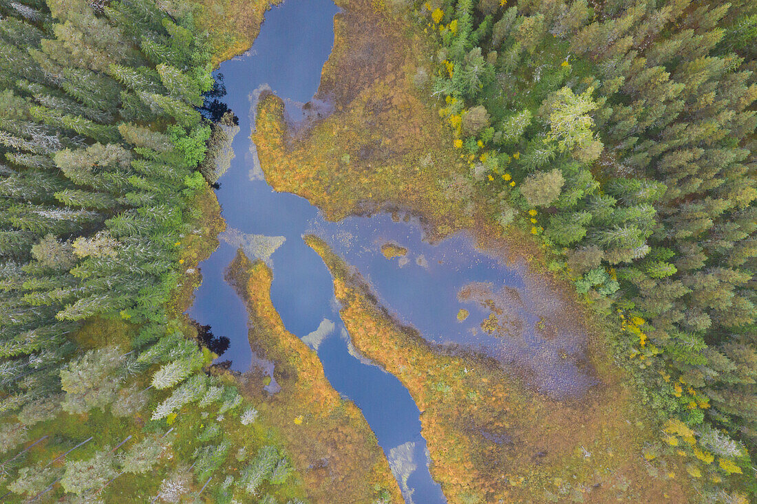  Stream in autumn, Dalarna, Sweden 