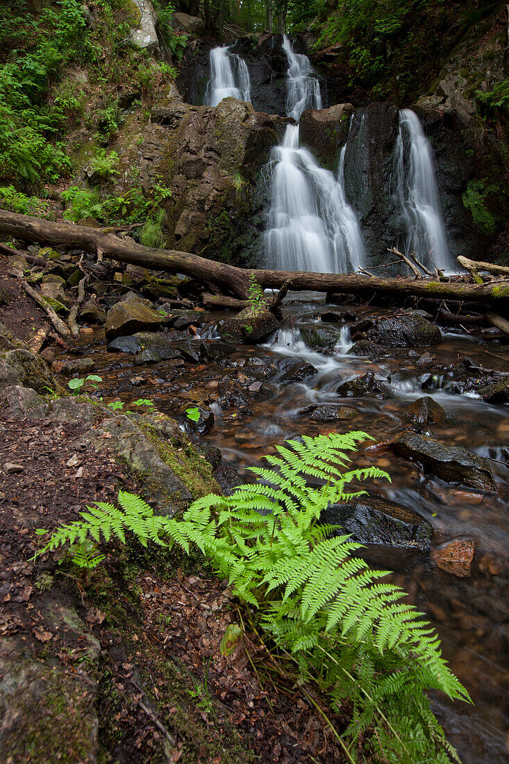  Forsakar, waterfall, 10.6m high, Skåne, Sweden 