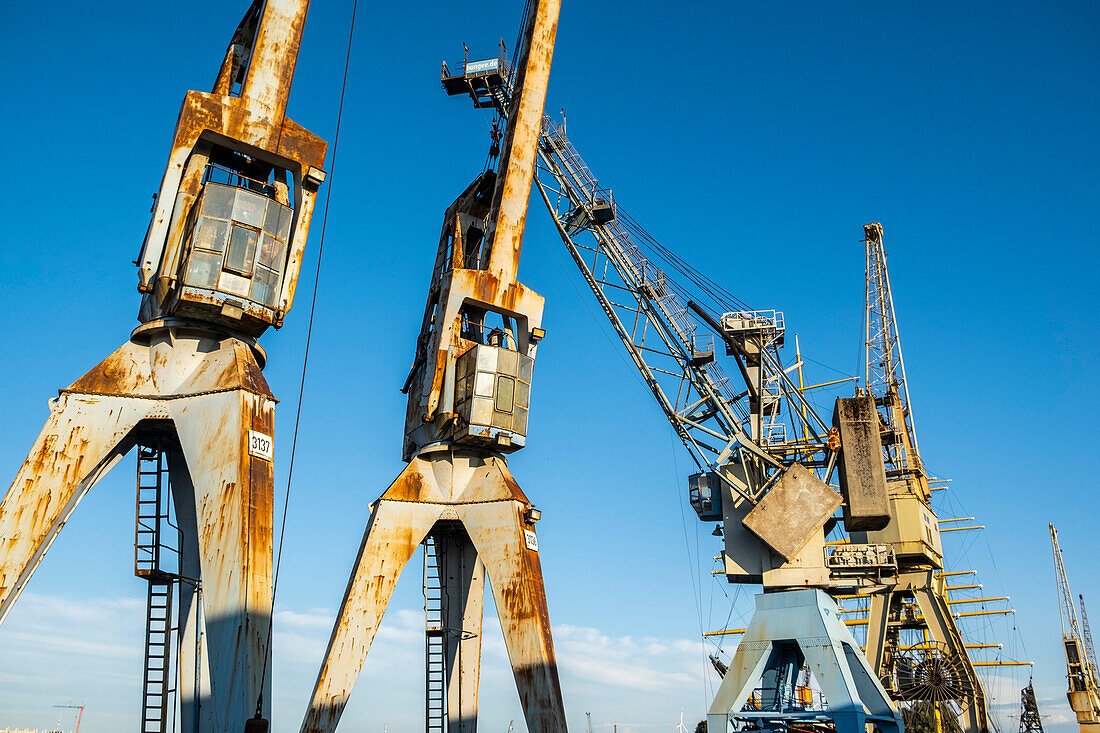 Alte Kräne im Hansahafen, Elbe, Hafen Hamburg, Hamburg, Norddeutschland, Deutschland