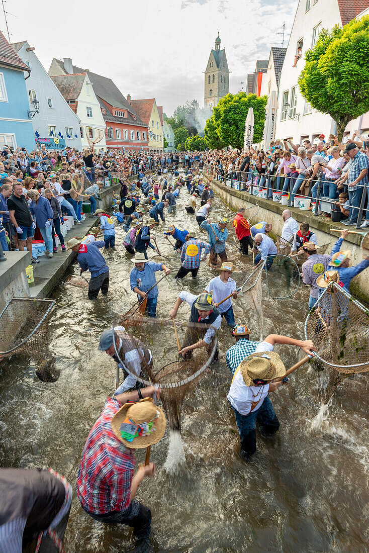  Fishing out the city stream, fishing day in Memmingen, Unterallgäu, Allgäu, Bavaria, Germany, Europe 