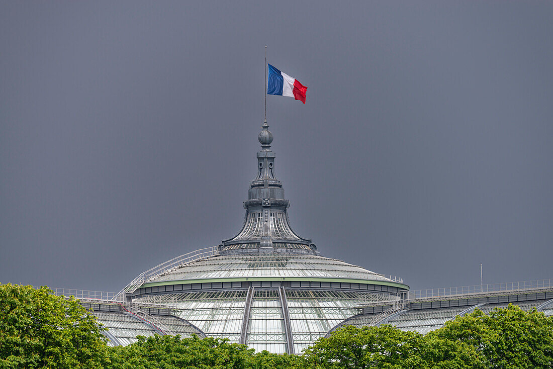  the French national flag, tricolor, on the Grand Palais, Paris, Île-de-France, France, Europe 