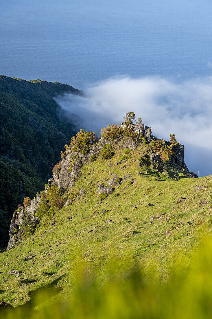  View from above the clouds to the Atlantic Ocean with the pastures of Fanal in the foreground, Madeira, Portugal. 