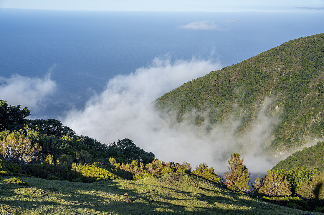  View from above the clouds to the Atlantic Ocean with the pastures of Fanal in the foreground, Madeira, Portugal. 