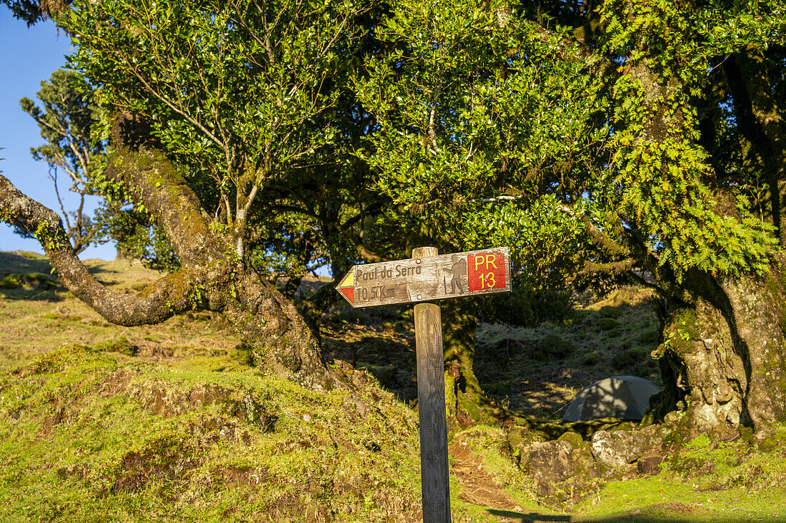 Wegweiser im Wandergebiet von Fanal, Madeira, Portugal.