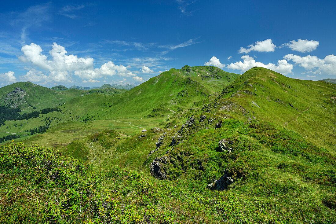  View from Maurerkogel to green Kitzbühel Alps, Pinzgauer Höhenweg, Kitzbühel Alps, Salzburg, Austria 