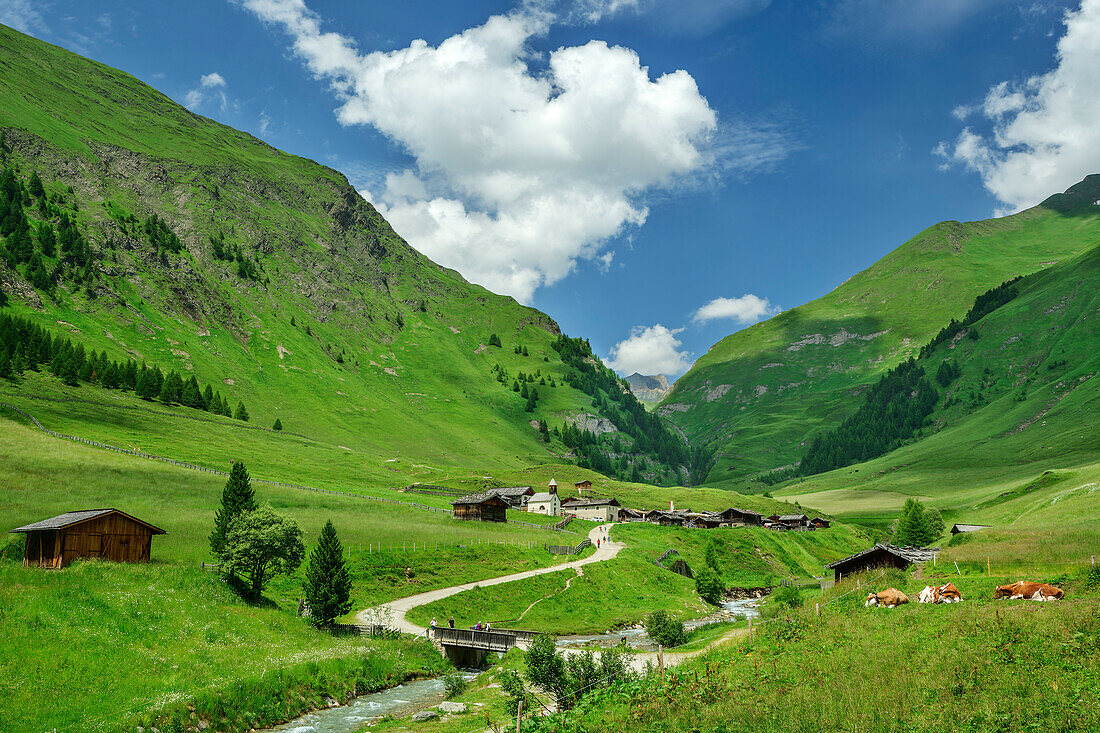  Alpine settlement Fane Alm with Pfunderer mountains in the background, Pfunderer Höhenweg, Zillertal Alps, South Tyrol, Italy 