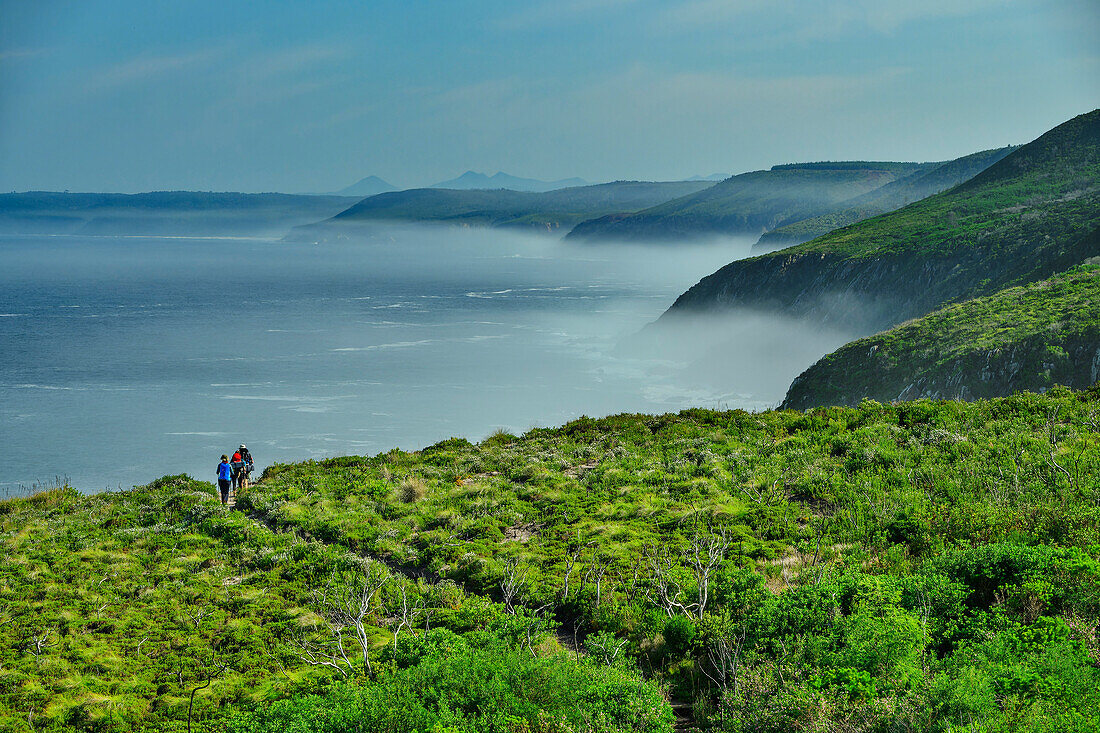  Three people hiking on the Otter Trail, Otter Trail, Tsitsikamma Section, Garden Route National Park, Eastern Cape, South Africa 