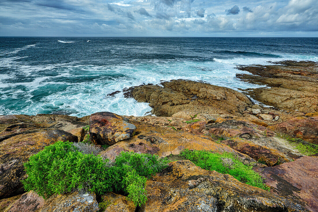 Meeresbrandung vor Robberg Island, Robberg Nature Reserve, Garden Route National Park, Western Cape, Südafrika