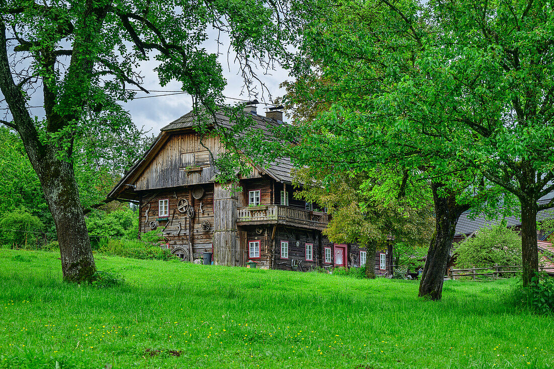  Old farmhouse in orchard, Glanz, Via paradiso, Millstätter See, Nockberge, Niedere Tauern, Carinthia, Austria 