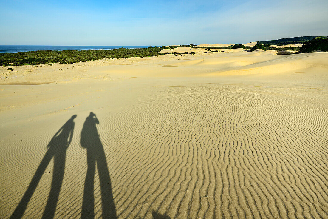  Shadows of two people falling on sand dunes, Cannon Rocks Trail, Addo Elephant National Park, Eastern Cape, South Africa 