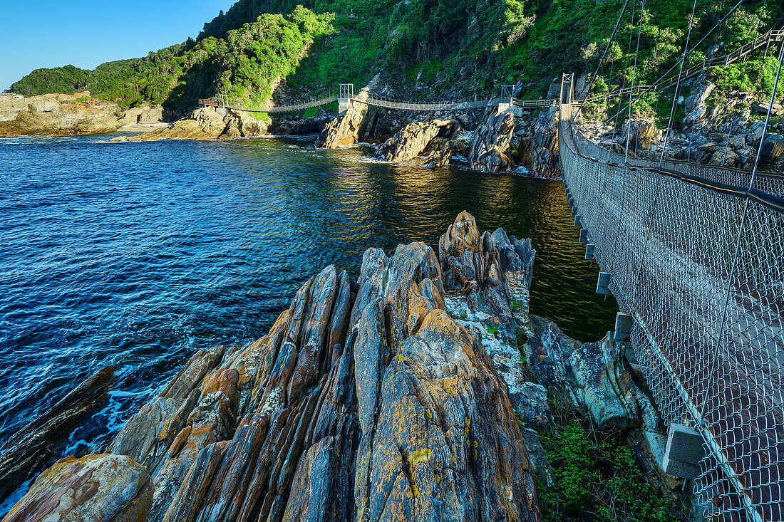 Mehrteilige Hängebrücke überspannt Storms River, Storms River Mouth Trail, Tsitsikamma Section, Garden Route National Park, Eastern Cape, Südafrika