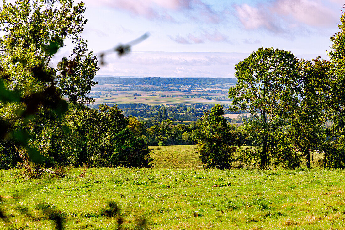  Hilly landscape of the Pays d&#39;Auge with traditional farmhouses, apple trees and cow pasture near Camembert in the Pays d&#39;Auge in the Calvados department in the Normandy region of France 