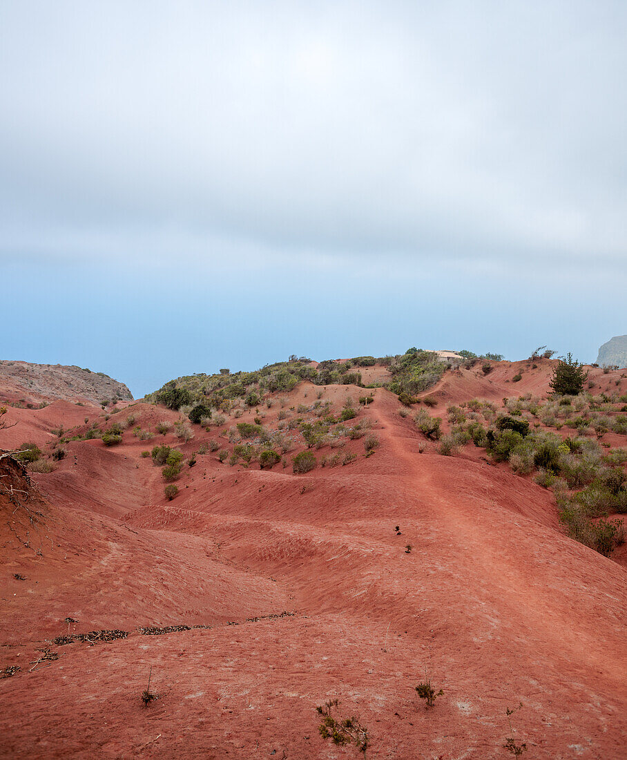  Las Rosas nature reserve in the mountains of La Gomera on the Canary Islands of Spain. Its name comes from the red volcanic soil, unique to this part of the island. 