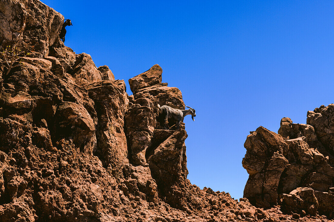  Mountain trail to Valle Gran Rey from Arure, on the Canary Island of La Gomera in Spain. 