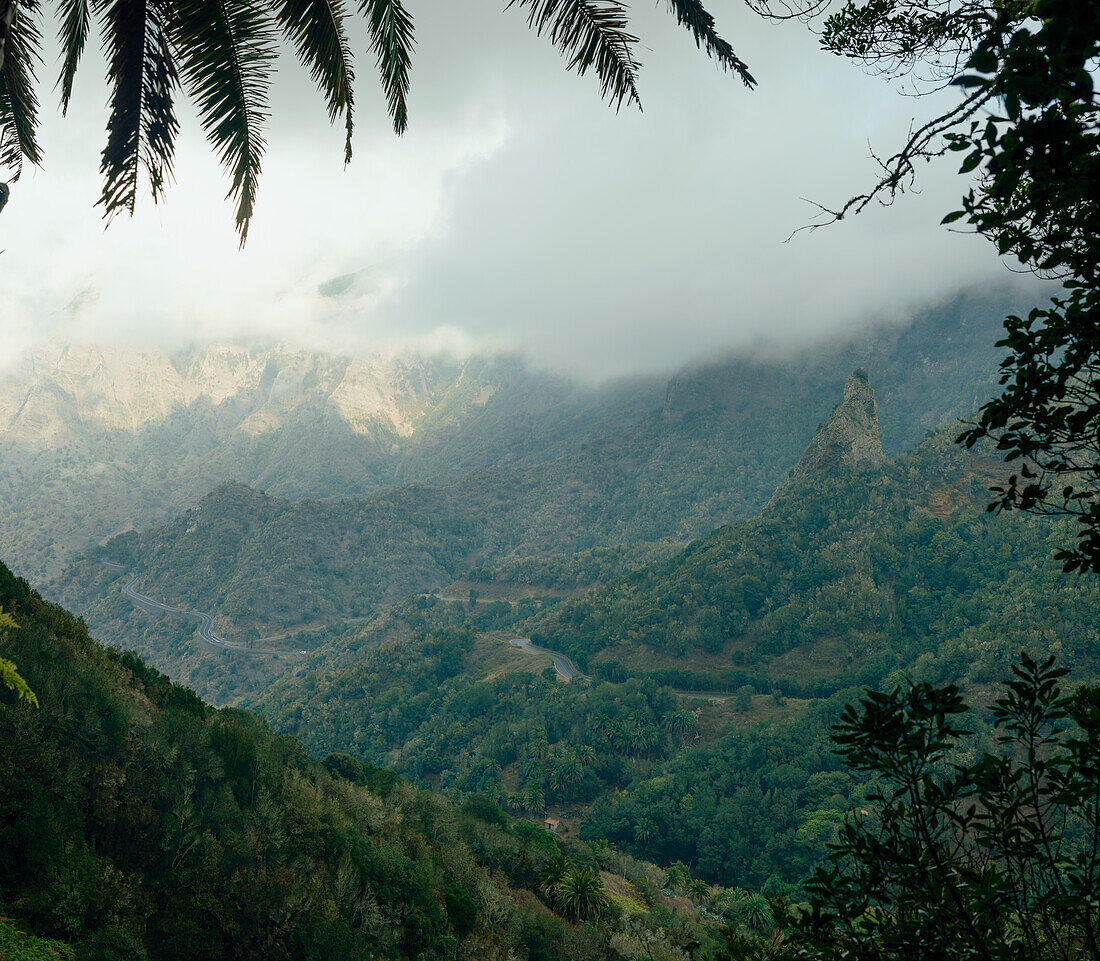  Nature photographs of the mountain landscape and the cloud forest El Cedro on the Canary Island of La Gomera. 