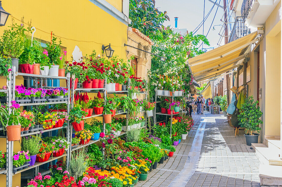 Blumenmarkt in einer Altstadtgasse, Hauptstadt Ägina, Insel Ägina, südwestlich von Athen, Saronischer Golf, Westliche Ägäis, Griechenland