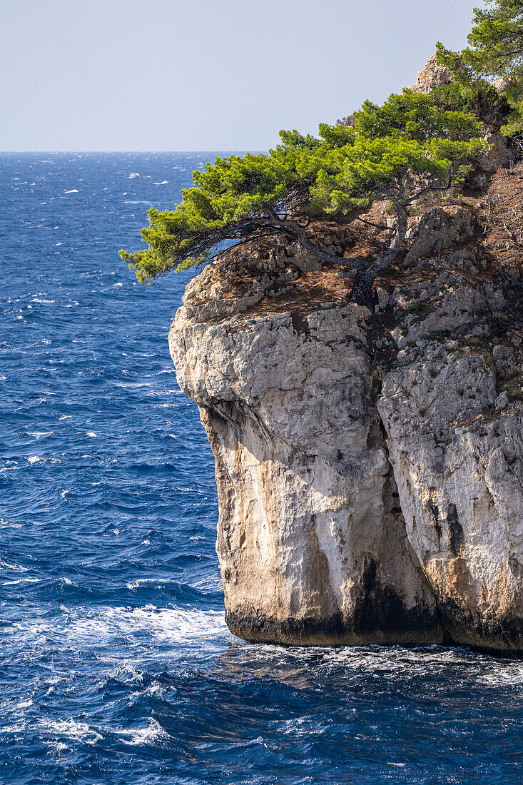  Close-up of the cliffs at the Calanques between Cassis and Marseille, Provence, France, Europe 