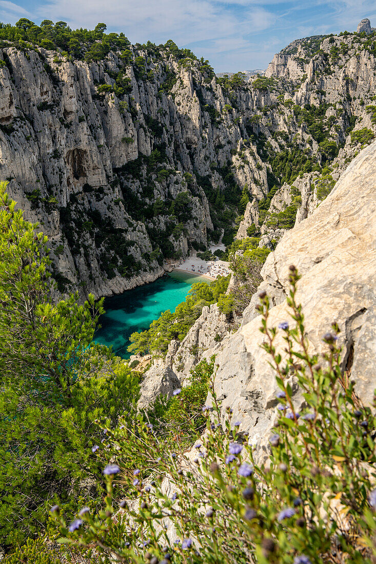  View from above of the Calanque d&#39;En-vau between Cassis and Marseille, Provence, France, Europe 