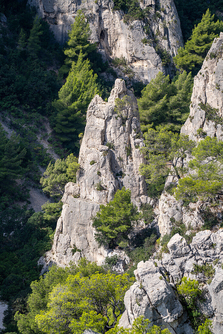  Limestone cliffs Grande Candelle in the Calanques National Park between Cassis and Marseille, Provence, France, Europe 