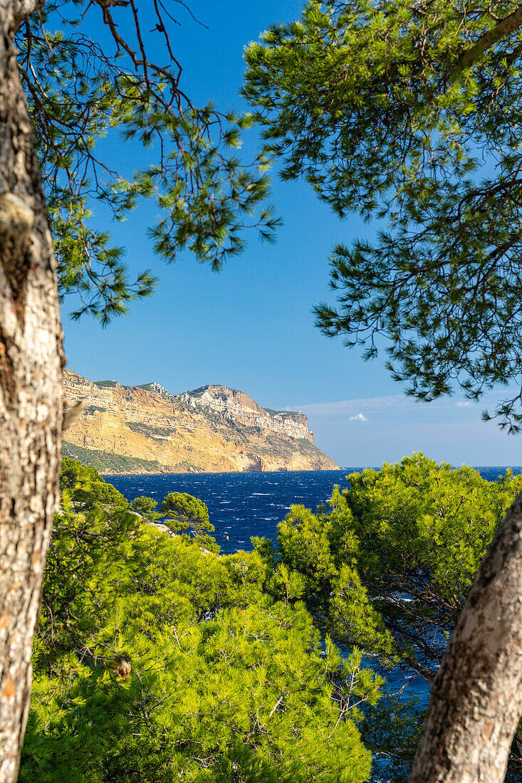  View to Cap Canaille over the Calanque de Port Miou between Cassis and Marseille, Provence, France, Europe 