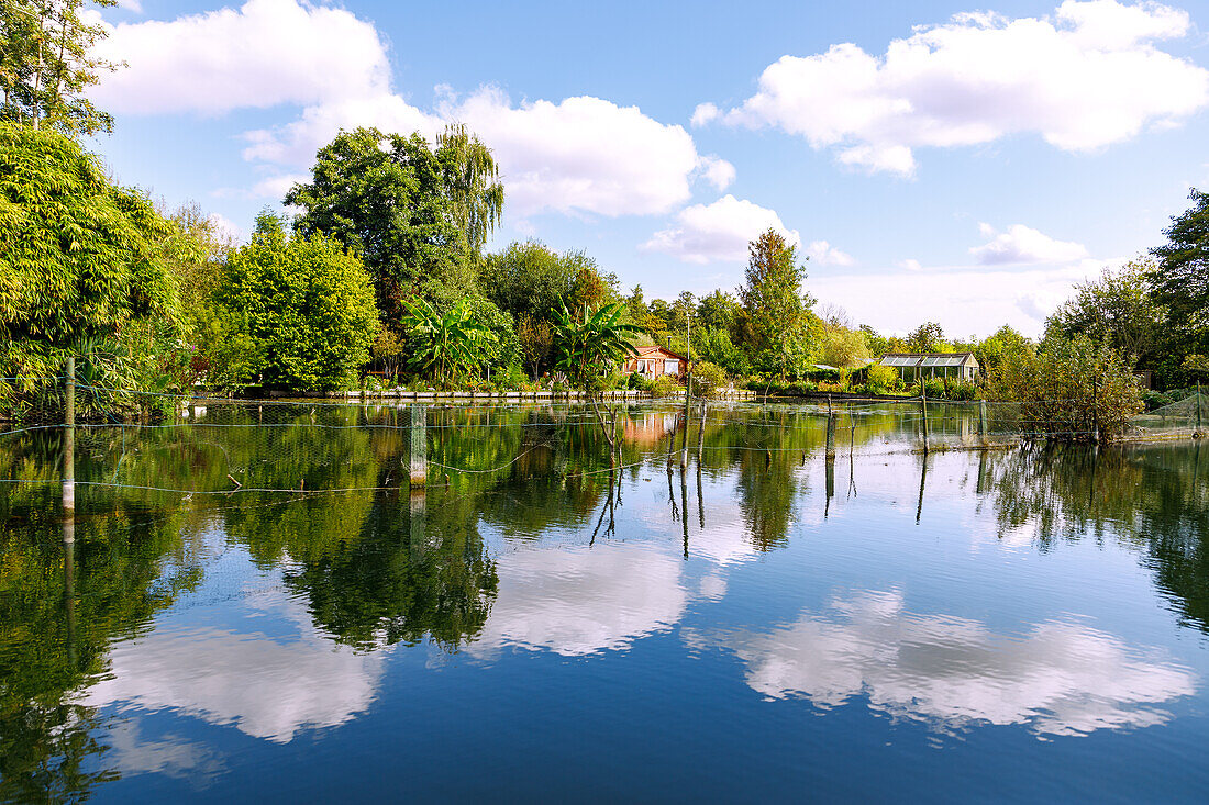 Hortillonnages (schwimmende Gärten), Bootstour durch das Wasserlabyrinth der Kleingärten in Amiens im Département Somme in der Region Hauts-de-France in Frankreich