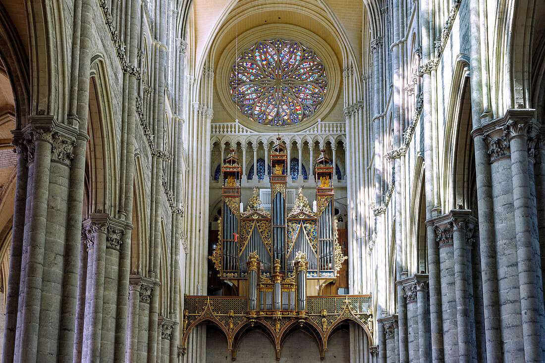  Interior of the Cathédrale Notre-Dame with organ and rose window in Amiens in the Somme department in the Hauts-de-France region in France 